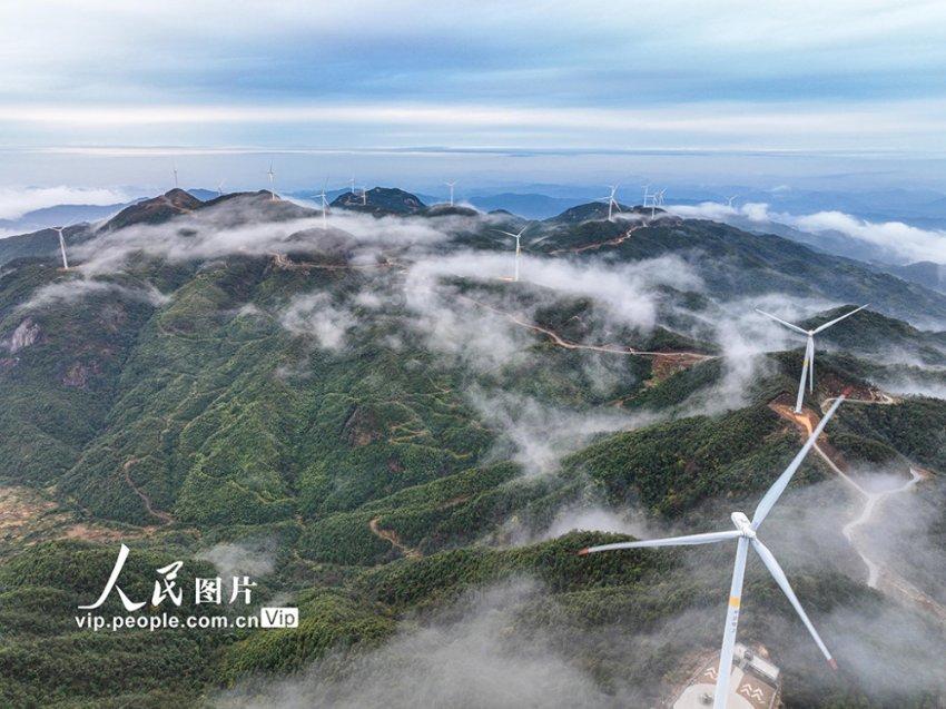 水果益智对对碰